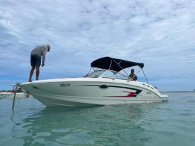 CHAPARRAL 24