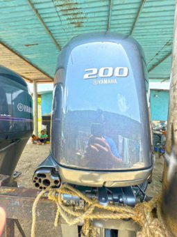 
										PAREJA YAMAHA FOUR STROKE 200HP full									
