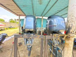 PAREJA YAMAHA FOUR STROKE 200HP