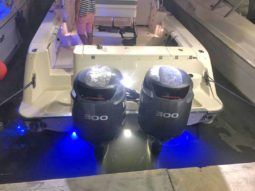 
										HYDRA SPORTS VECTOR 330 VX 33 full									