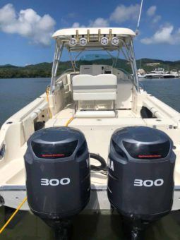 
										HYDRA SPORTS VECTOR 330 VX 33 full									