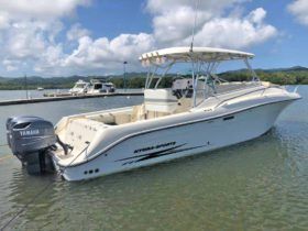HYDRA SPORTS VECTOR 330 VX 33