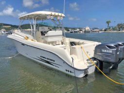 
										HYDRA SPORTS VECTOR 330 VX 33 full									