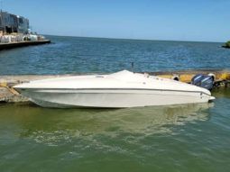 PROMARINE 33