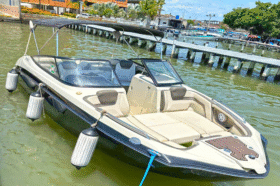 YAMAHA LIMITED 24.2