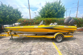 TRITON BOATS TR 19