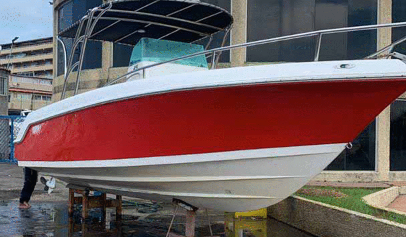 
								INTERMARINE 29 full									