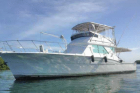 CHRIS CRAFT SPORTFISH 45