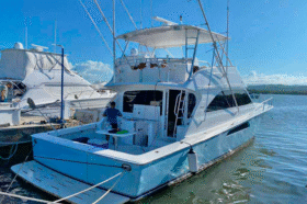 VIKING 48.8