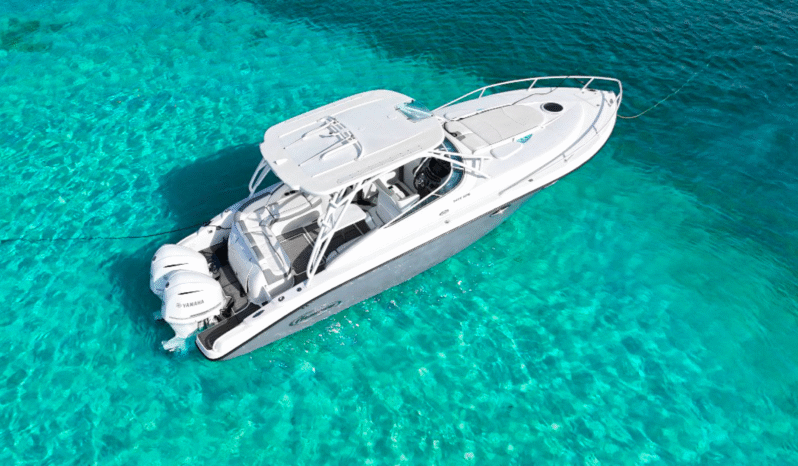 
								PROMARINE EXPRESS 34 full									