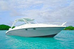 
										PROMARINE EXPRESS 34 full									