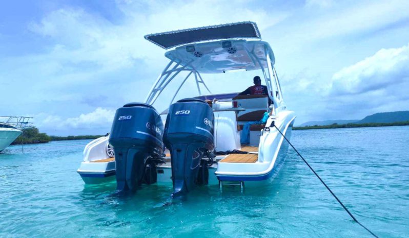 
								PROMARINE EXPRESS 34 full									