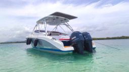 PROMARINE EXPRESS 34
