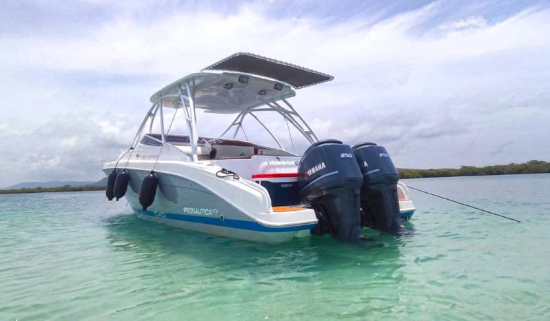 
								PROMARINE EXPRESS 34 full									