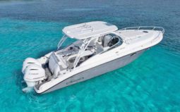 PROMARINE EXPRESS 34