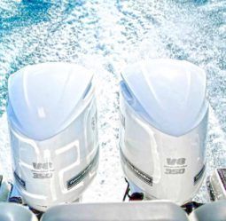 
										PROMARINE EXPRESS 34 full									