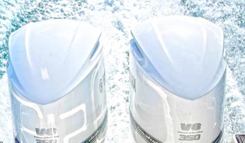 
								PROMARINE EXPRESS 34 full									
