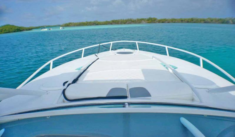 
								PROMARINE EXPRESS 34 full									