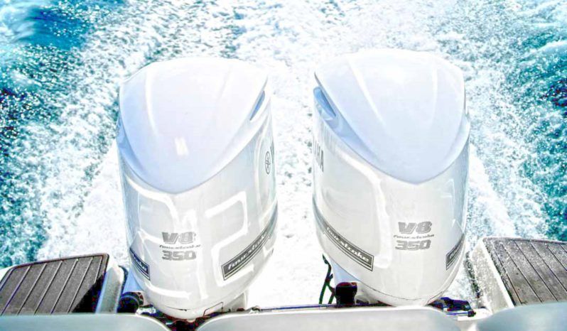 
								PROMARINE EXPRESS 34 full									