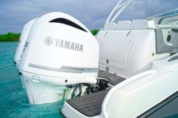 
										PROMARINE EXPRESS 34 full									