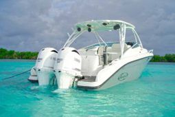 
										PROMARINE EXPRESS 34 full									
