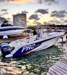 PROMARINE OPEN 26