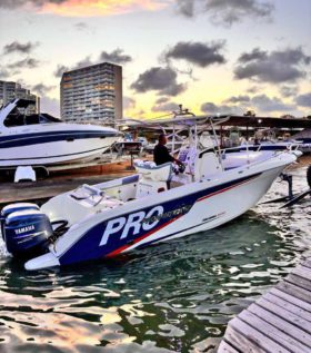 PROMARINE OPEN 26