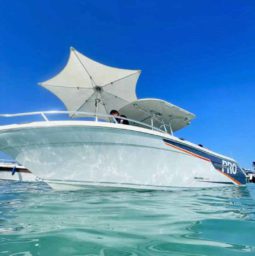 PROMARINE OPEN 26