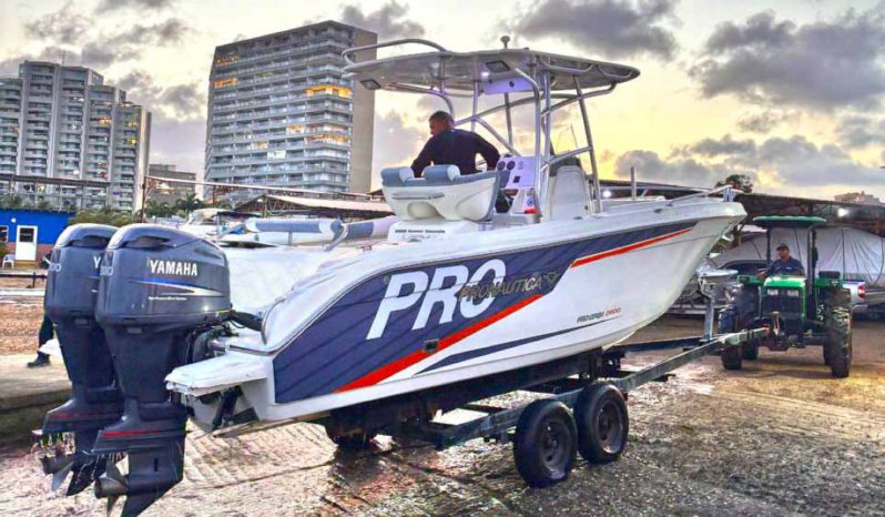 
								PROMARINE OPEN 26 full									