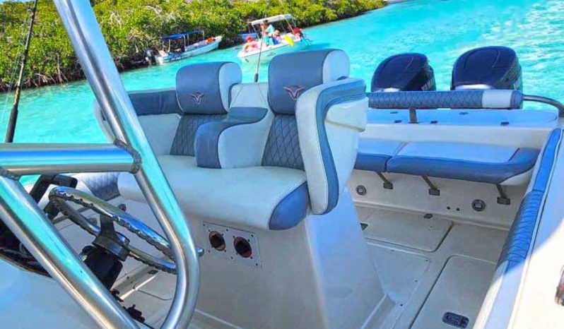 
								PROMARINE OPEN 26 full									