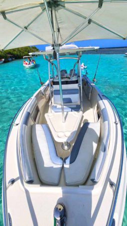 PROMARINE OPEN 26