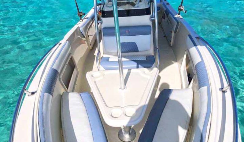 
								PROMARINE OPEN 26 full									