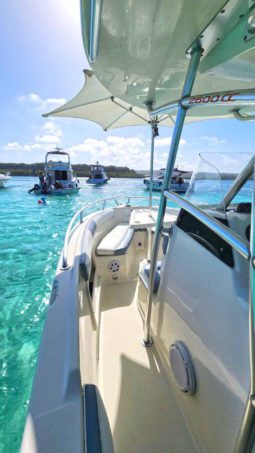 
										PROMARINE OPEN 26 full									