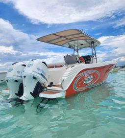
										PROMARINE OPEN 33 full									