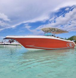 
										PROMARINE OPEN 33 full									