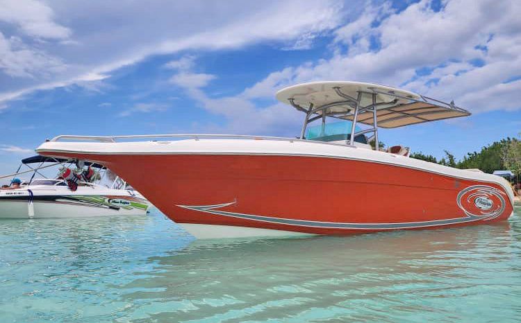 
								PROMARINE OPEN 33 full									