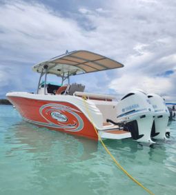 
										PROMARINE OPEN 33 full									