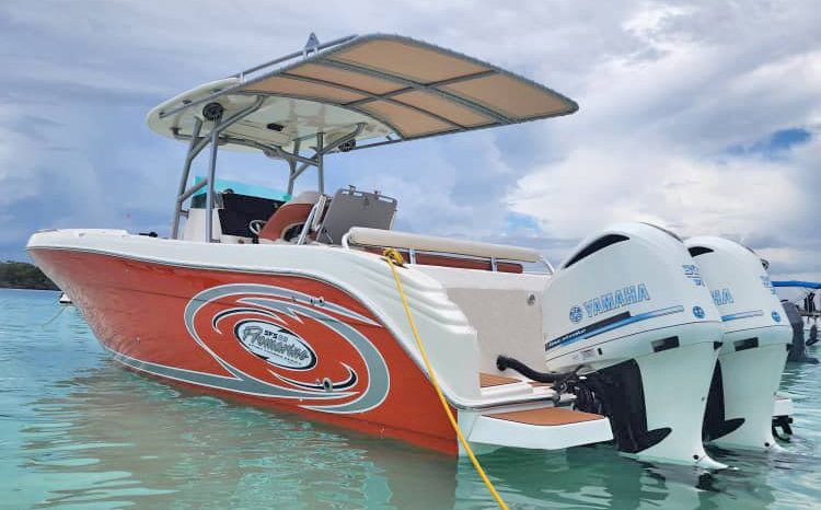 
								PROMARINE OPEN 33 full									