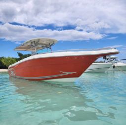 
										PROMARINE OPEN 33 full									