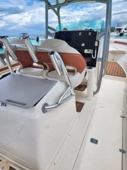 
										PROMARINE OPEN 33 full									