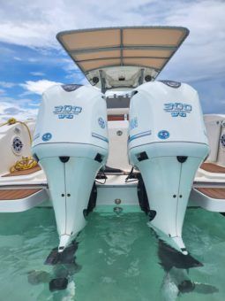 
										PROMARINE OPEN 33 full									