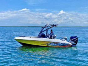 PROMARINE WAKE EDITION 21