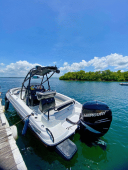 
										PROMARINE WAKE EDITION 21 full									