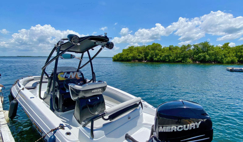 
								PROMARINE WAKE EDITION 21 full									
