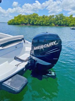
										PROMARINE WAKE EDITION 21 full									