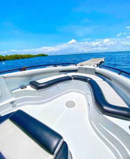 PROMARINE WAKE EDITION 21