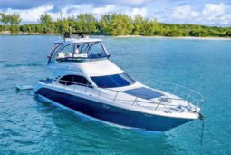 SEA RAY SEDAN BRIDGE 50