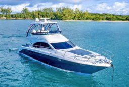 SEA RAY SEDAN BRIDGE 50