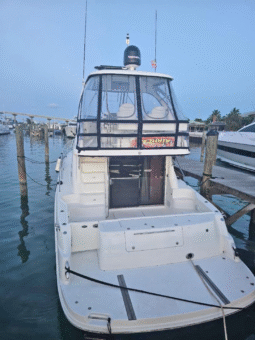 SEA RAY SEDAN BRIDGE 50