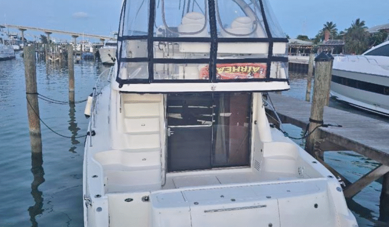 
								SEA RAY SEDAN BRIDGE 50 full									